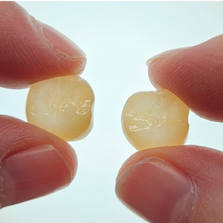 FMZ-T (translucent) Crown